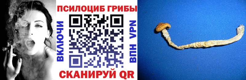 Галлюциногенные грибы GOLDEN TEACHER Морозовск