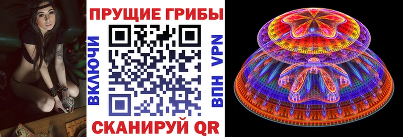 нарко площадка официальный сайт  Морозовск  Галлюциногенные грибы GOLDEN TEACHER 