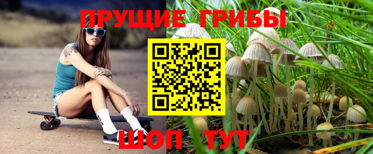 Галлюциногенные грибы MAGIC MUSHROOMS  даркнет сайт  Морозовск  Вход с VPN 