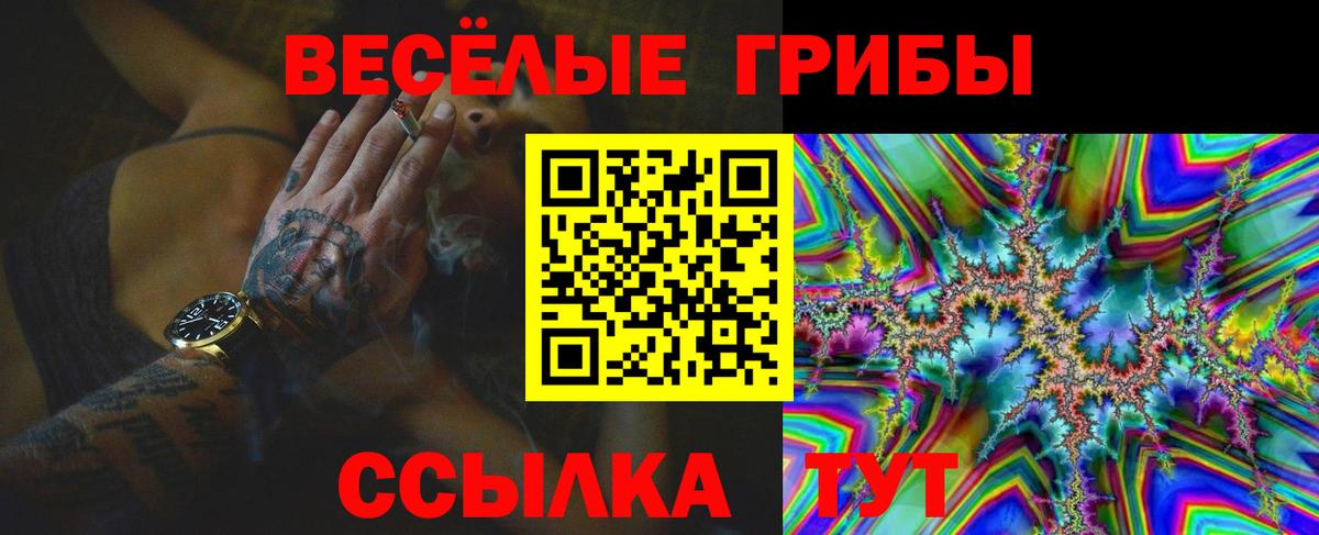 Галлюциногенные грибы Морозовск