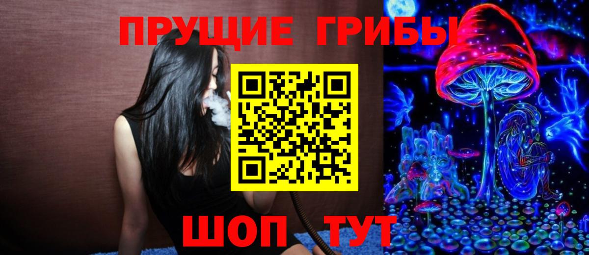 Псилоцибиновые грибы Psilocybine cubensis Морозовск