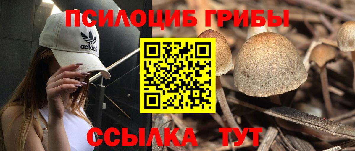 Галлюциногенные грибы мицелий Морозовск