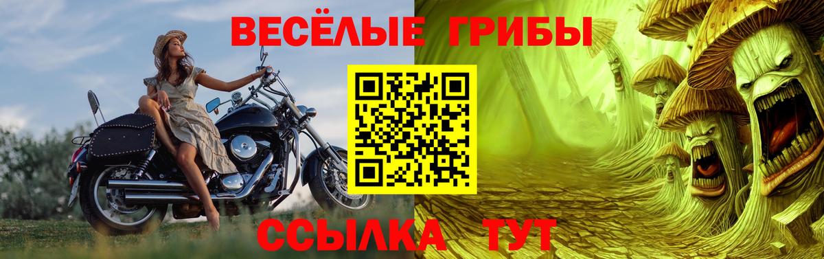 Псилоцибиновые грибы GOLDEN TEACHER  Морозовск 